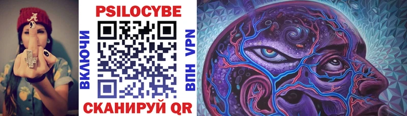 Псилоцибиновые грибы Psilocybe Купино